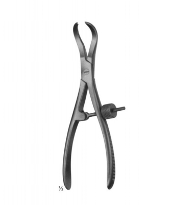 Text
