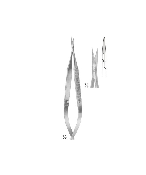 Text