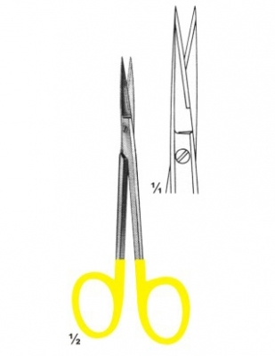 Text