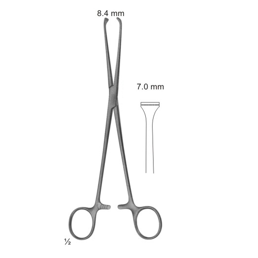 Text
