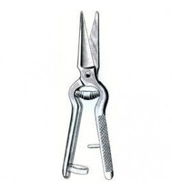 Text